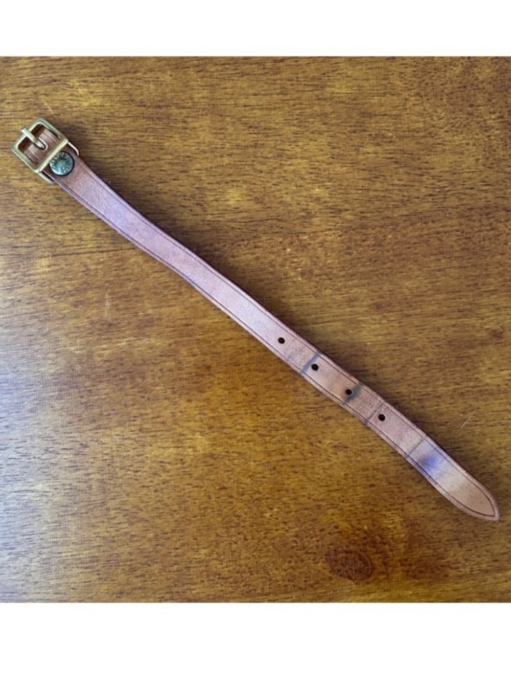 Louis Vuitton luggage strap